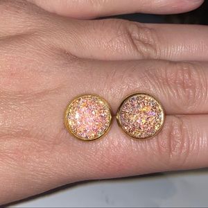 Stainless Steel Resin Druzy Earrings